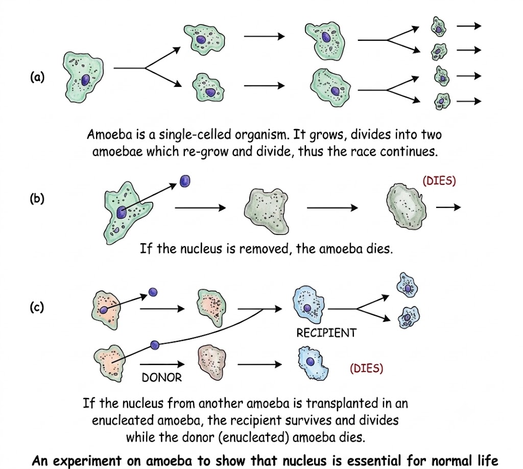 Fig 1.7